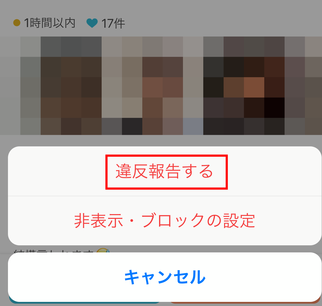 paddy67　ブロック
